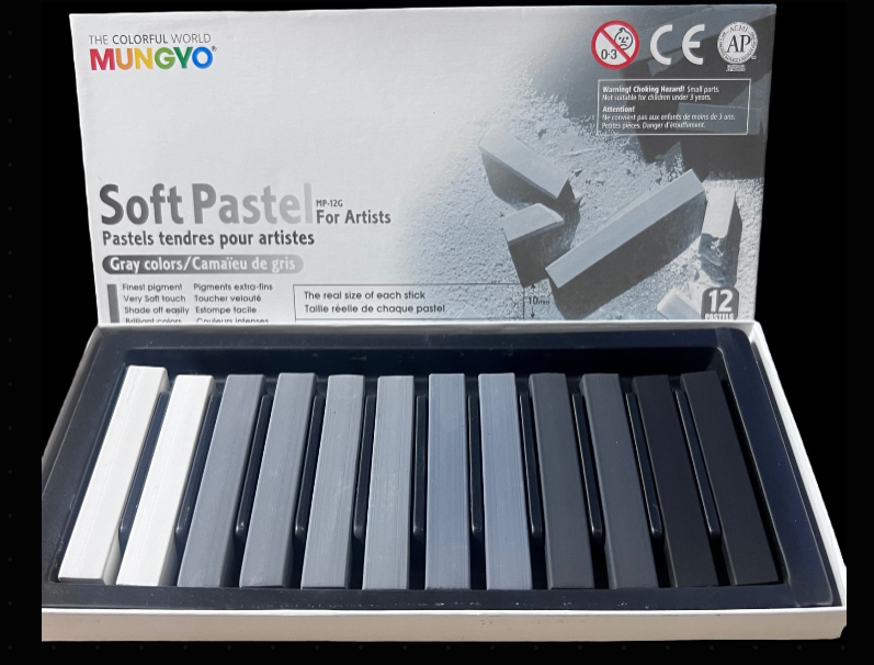 COLORES PASTEL SECO MUNGYO 12PZ COLORES GRISES